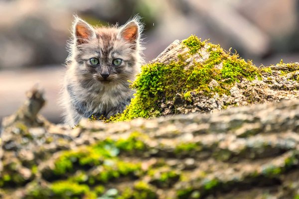 Qui est la femme la plus pauvre du monde ?